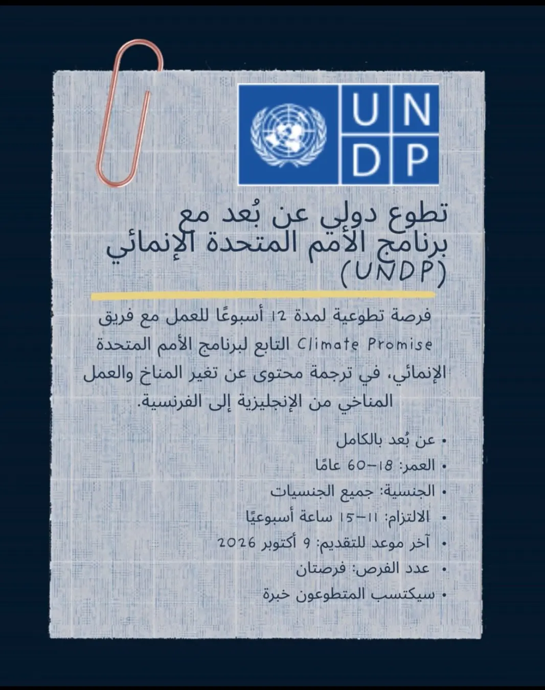 منشورنا عن تطوع دولي عن بُعد مع برنامج الأمم المتحدة الإنمائي (UNDP)